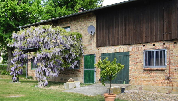 Ferienhaus, Zahrensdorf - Foto 2, Profilbild