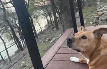 Lakefront, Private Dock, Spectacular Views - Foto 43