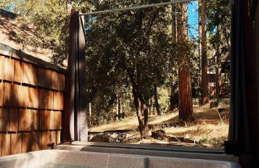 Clarity Cabin A-Frame Sanctuary w Hot Tub Fireplace Grill AC Hammock Chairs Fire Pit Pets OK - Foto 36