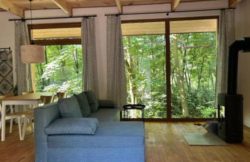 Rogaty Domek przy Bobrowisku - Foto 1