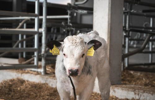 Sottla - your mountain home - Photo 48