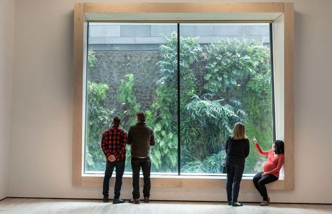 Entrada al Museo de Arte Moderno de San Francisco - Foto 6