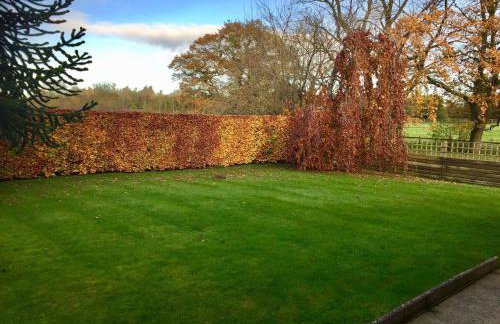 3 bedroom home with parking - Foto 5