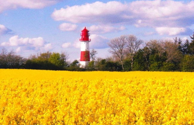 Holiday Home Zum Nagel - Photo 20