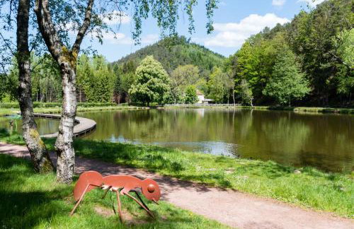 Gite Chez Livia Hautes Vosges - Foto 59