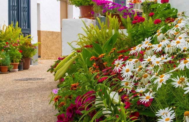 Vejer & Conil de la Frontera Day Trip - Photo 3