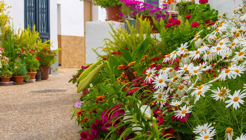 Excursion à Vejer et Conil de la Frontera