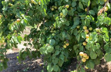 Great stay & beautiful trails - Foto 17