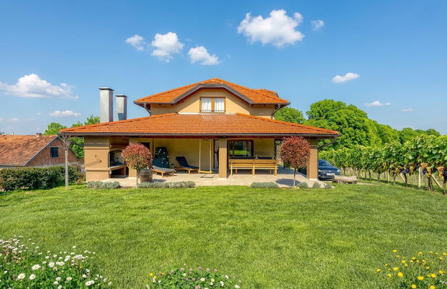 Hedonistic Vineyard Estate - Photo 1