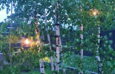 Kotlina Kłodzka Pod Brzozami - Foto 48