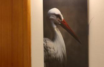 HAVRE DE PAIX - Maison 3 étoiles - Piscine Privée - Europapark - Foto 24