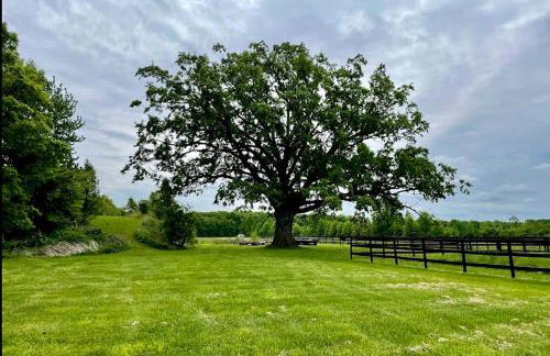 Cozy Cabin Surrounded by Fields and Woods in Oberlin, Ohio - Foto 7