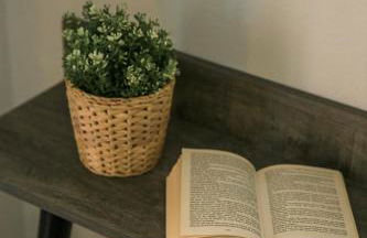 Emily Villas - Foto 70