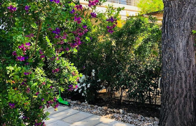 Azure House at Lagonissi - Foto 35