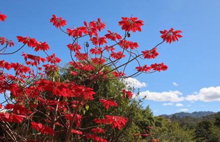 Rancho Topo da Montanha, 60 km de Belo Horizonte - Foto 23