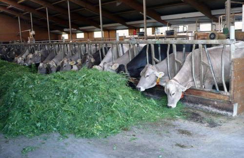 Bauernhaus Markus Köpf - Foto 23