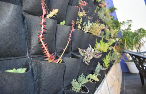 Bella's House 4 com Piscina - Foto 32