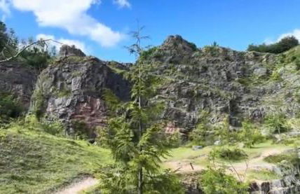 Honey Bee Cottage Tiny House Welshpool - Photo 9