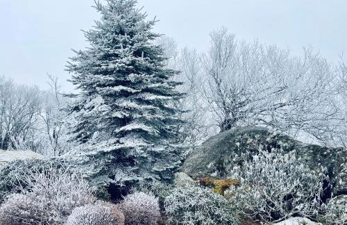 Bucket List Views Sugar Mountain Private Condo - 2bed, 2bath, Sleeps 6, Panoramic Views of Mountains from Large Deck, Short Drive to Shopping, Restaurants, Cafes & Banner Elk Town - Foto 45