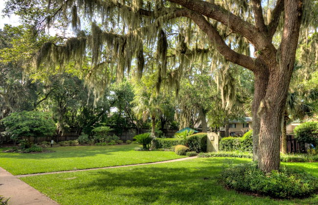 1500 Demere Road #D5 by Hodnett Cooper - Foto 18