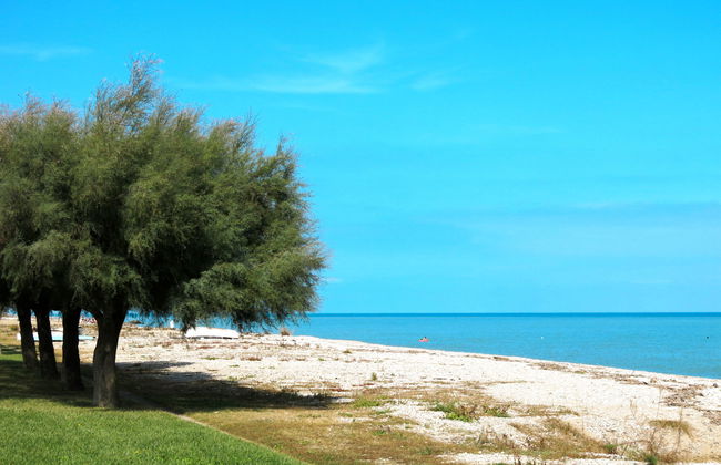 Colle Mare - Foto 24