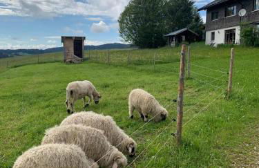 Ferienhof Rindalphorn mit Sauna in ländlicher Idylle - Foto 28