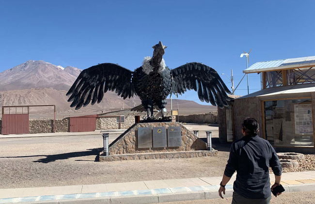 Ollagüe + Alto del Loa Salt Flats Private Tour - Foto 8