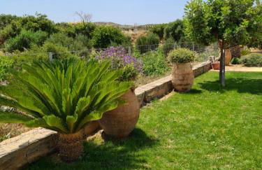 Olivar Suites - Photo 29