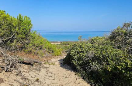 Acquamarina House by the sea - Foto 26