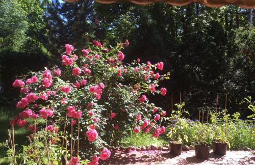 Pokój w domu z ogrodem w Milanówku - Foto 26