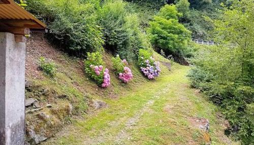 Gli Orti di Mulina le Apuane con parcheggio privato e WiFi - Foto 2