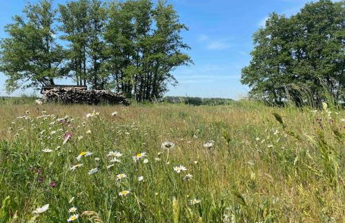 Auszeit inmitten der Natur - its a kind of magic - Foto 23