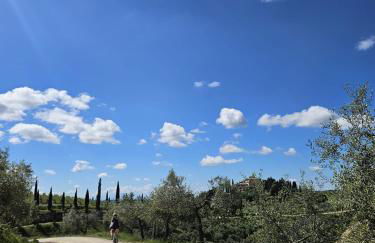 Podere le Muricce - Foto 46