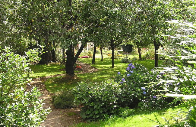 Cabane dans les Arbres - Tree House - Foto 31