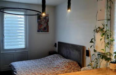 Hôte Stéphanois Studio & parking - Foto 8