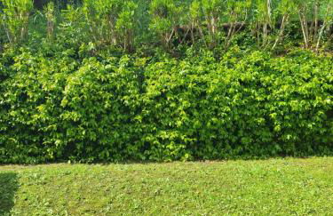 Il Fienile in Toscana A warm interior just a few minutes from the beach - Foto 15