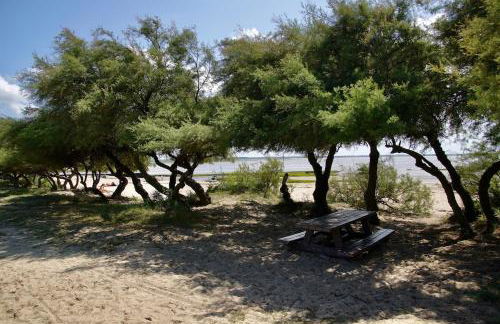 Le Cabanon du Marché - Foto 17