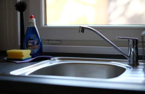 Racoon - Außergewöhnliches Tinyhauserlebnis beim Reptilienzoo Reptilium - Foto 39