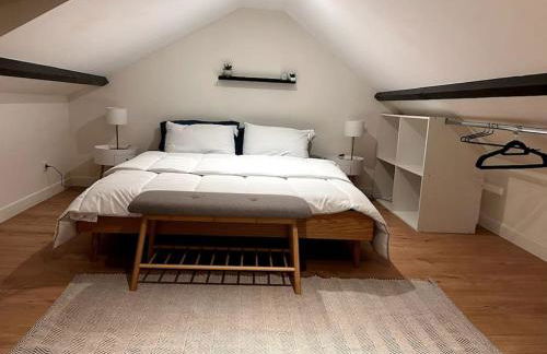 Appartement duplex proche zénith, mégacité, stade - Foto 1