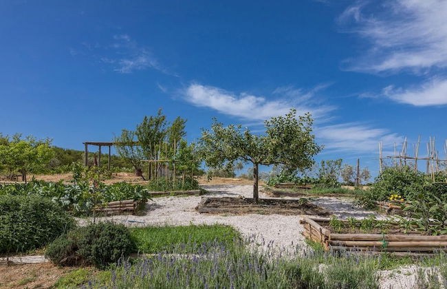 Tr-i381-svim0at - Podere Pomasciano 10 - Foto 62