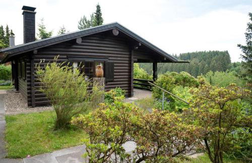 Schwedenhaus Waldkauz - Foto 12