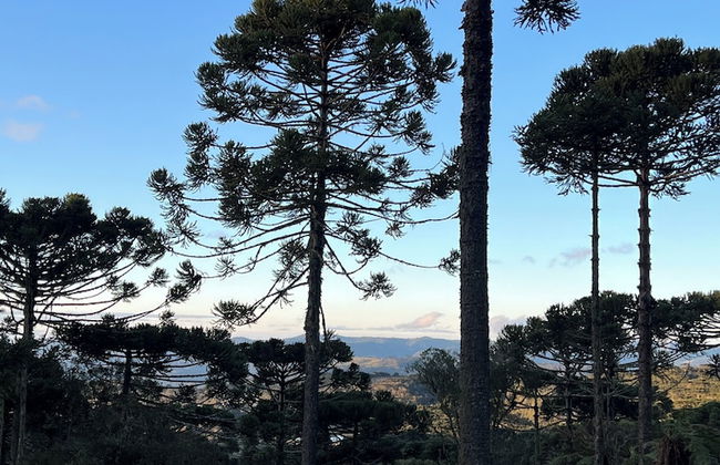 Bulawayo Lodge - Foto 56