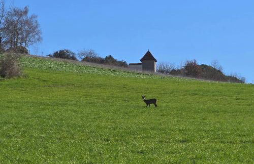 Les palmiers de Valence - Foto 19