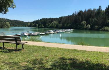 Les 4 gites de la Saisse - Foto 7