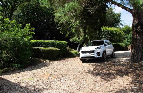 The Little House - Photo 15