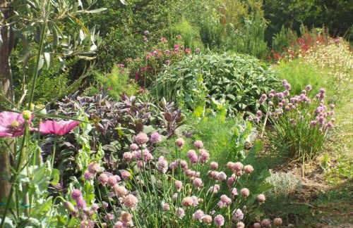 Agriturismo Timignano - Foto 35