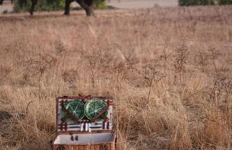 Monte dos 2 Tanques - Foto 20