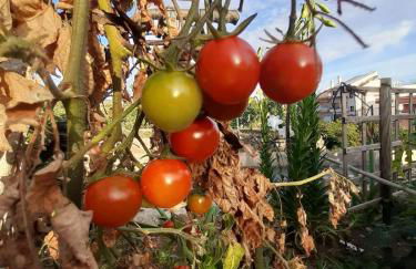 Finca de Luna - Foto 63