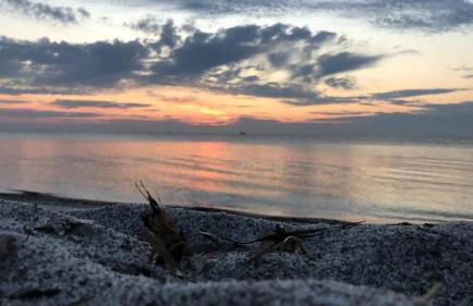 Villetta sul mare - Foto 46