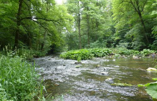 Pension Waldfrieden - Foto 12